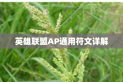 英雄联盟AP通用符文详解图片