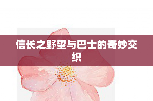 信长之野望与巴士的奇妙交织图片