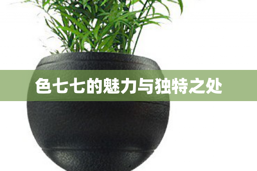 色七七的魅力与独特之处图片