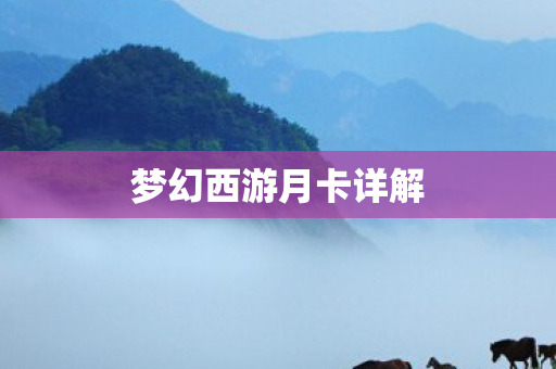 梦幻西游月卡详解图片