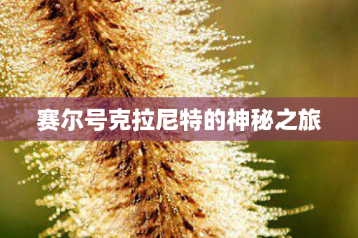 赛尔号克拉尼特的神秘之旅图片