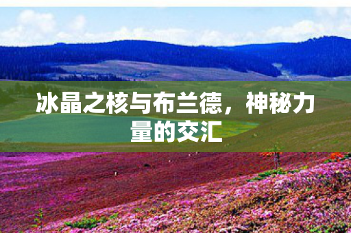 冰晶之核与布兰德图片
