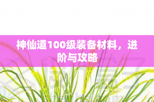 神仙道100级装备材料图片