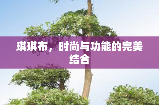 时尚与功能的完美结合图片