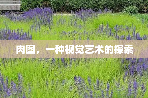 一种视觉艺术的探索图片
