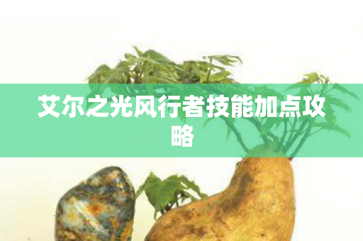 艾尔之光风行者技能加点攻略图片