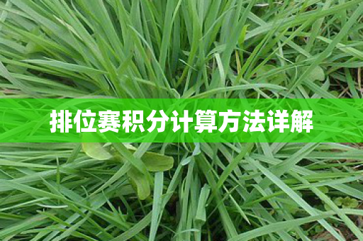 排位赛积分计算方法详解图片