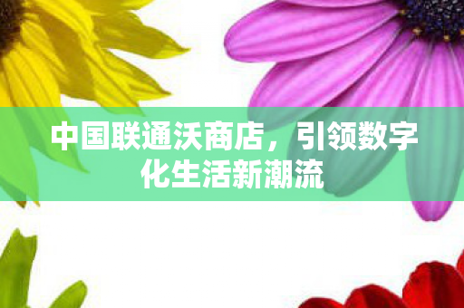 引领数字化生活新潮流图片