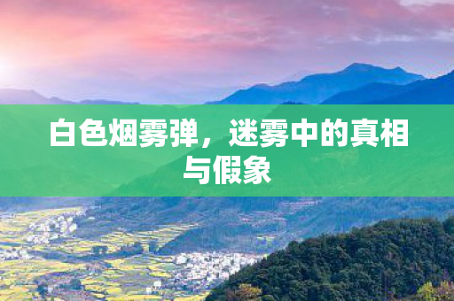 迷雾中的真相与假象图片