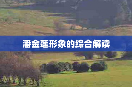 潘金莲形象的综合解读图片