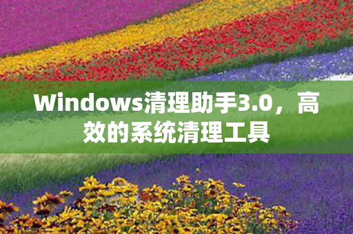 Windows清理助手3图片