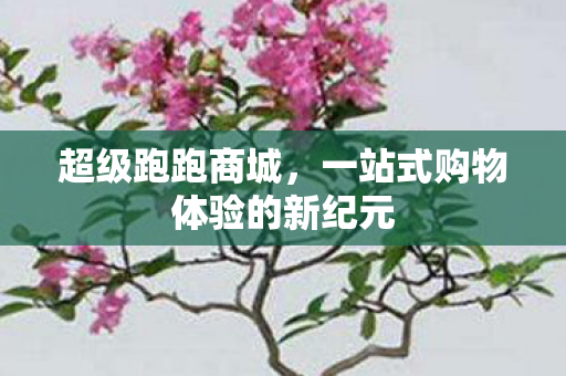一站式购物体验的新纪元图片
