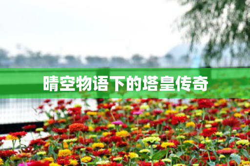 晴空物语下的塔皇传奇图片