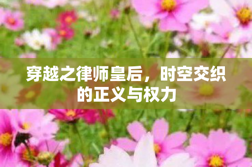 时空交织的正义与权力图片