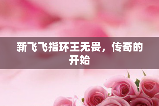 新飞飞指环王无畏图片