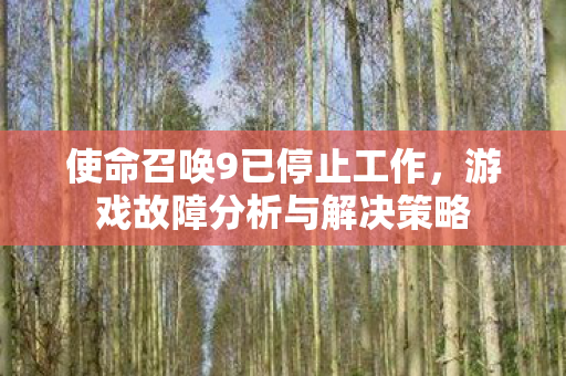 游戏故障分析与解决策略图片