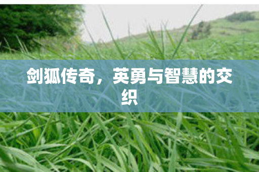 英勇与智慧的交织图片