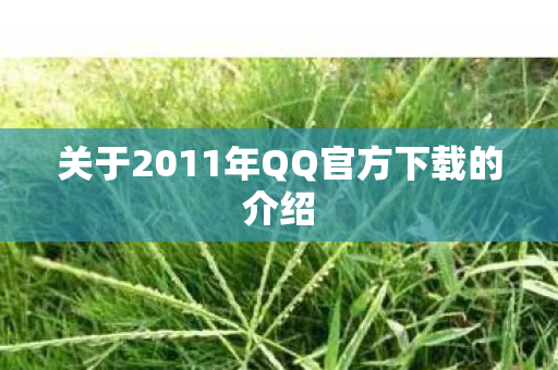关于2011年QQ官方下载的介绍图片