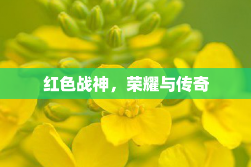 荣耀与传奇图片