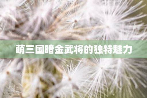 萌三国暗金武将的独特魅力图片