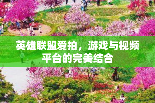 游戏与视频平台的完美结合图片