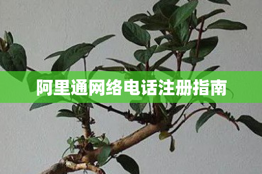 阿里通网络电话注册指南图片