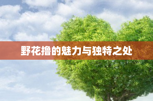 野花撸的魅力与独特之处图片
