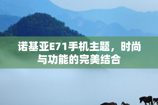 诺基亚E71手机主题图片