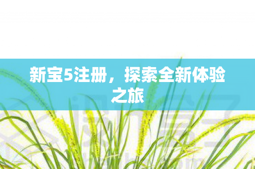 探索全新体验之旅图片