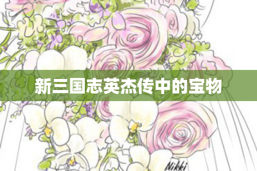 新三国志英杰传中的宝物图片