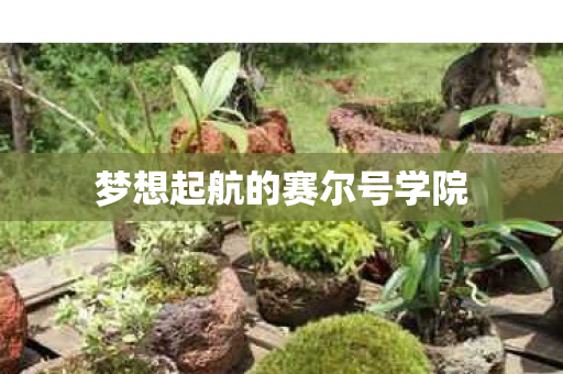 梦想起航的赛尔号学院图片