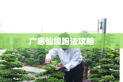 广寒仙境跑法攻略图片