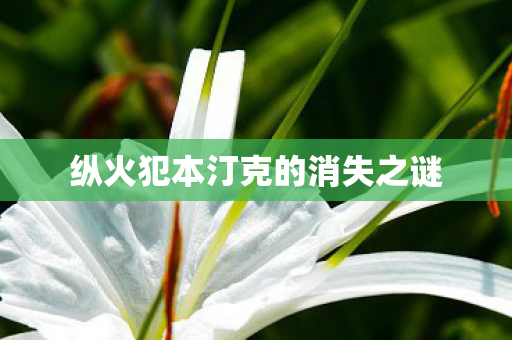 纵火犯本汀克的消失之谜图片