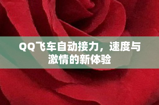 速度与激情的新体验图片