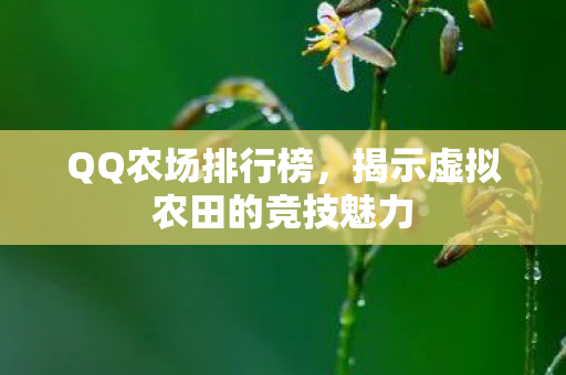 揭示虚拟农田的竞技魅力图片