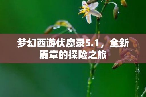 全新篇章的探险之旅图片