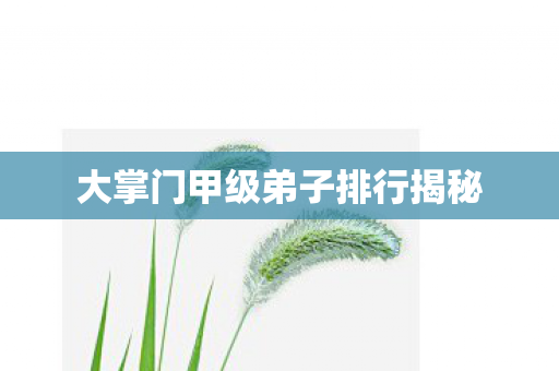 大掌门甲级弟子排行揭秘图片