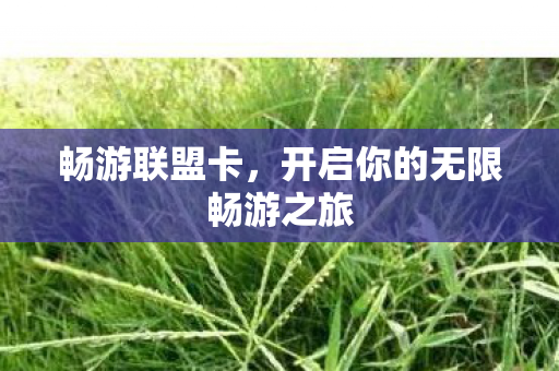 开启你的无限畅游之旅图片