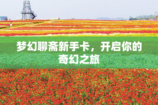 开启你的奇幻之旅图片
