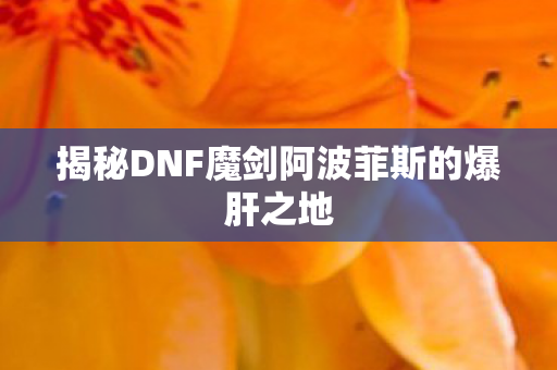 揭秘DNF魔剑阿波菲斯的爆肝之地图片