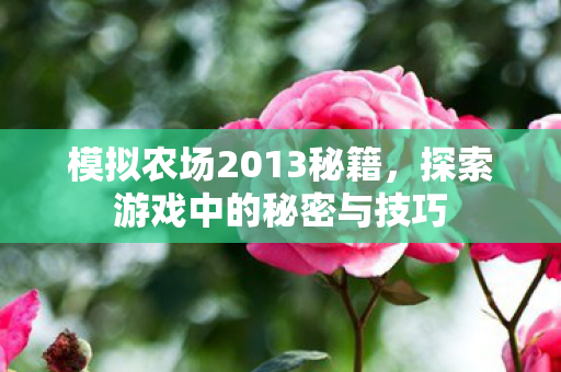 探索游戏中的秘密与技巧图片