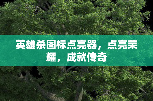 英雄杀图标点亮器图片