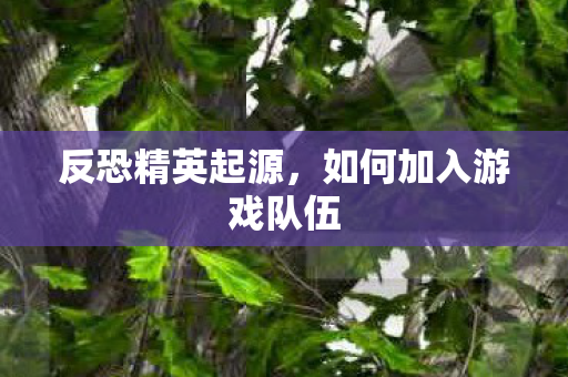 如何加入游戏队伍图片