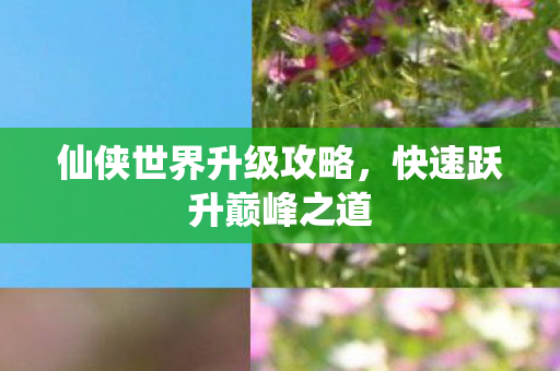 仙侠世界升级攻略图片