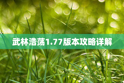77版本攻略详解图片