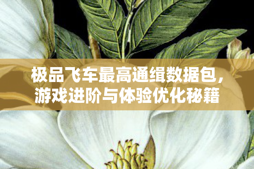 极品飞车最高通缉数据包图片