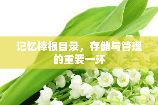 存储与管理的重要一环图片