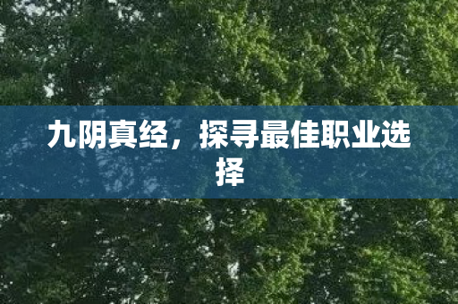 探寻最佳职业选择图片