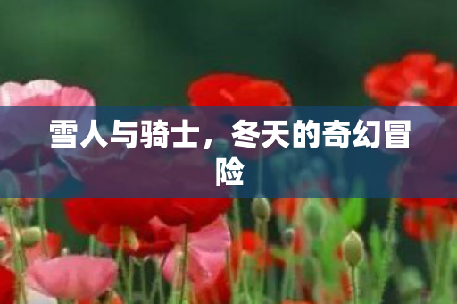 冬天的奇幻冒险图片
