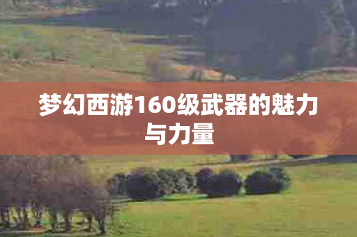 梦幻西游160级武器的魅力与力量图片
